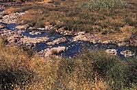 Ο ποταμός Αλμυροπόταμος δίπλα στα θερμά λουτρά Πολυχνίτου στη Λέσβο