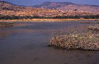 Η λιμνοθάλασσα των Παράκοιλων Λέσβου