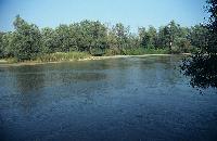 Ο ποταμός Νέστος και η πλούσια παρόχθια βλάστηση
