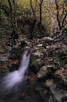 Ορεινός χείμαρρος το φθινόπωρο στην Ευρυτανία