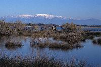 Η λιμνοθάλασσα Πρόκοπος