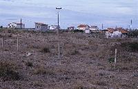 Αυθαίρετες κατοικίες στη βόρεια λουρονησίδα της αποξηραμένης λίμνης Αγουλινίτσας