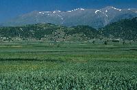 Γεωργικές καλλιέργειες στον Κάτω Όλυμπο.