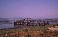 Παραδοσιακό διβάρι στη λιμνοθάλασσα Μεσολογγίου