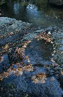 Ο μεγάλος καταρράκτης στη Σαμοθράκη