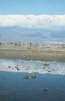 Αντικατοπτρισμοί του χιονισμένου Μπέλες στη λίμνη Κερκίνη