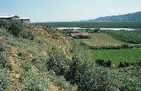 Γενική άποψη της λίμνης Χειμαδίτιδας