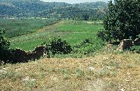 Εκτεταμένοι καλαμώνες στη λίμνη Χειμαδίτιδα