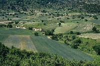 Γεωργικές καλλιέργειες στον Κάτω Όλυμπο.