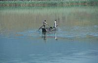 Ψαράδες ρίχνουν τα δίχτυα τους καταμεσίς της λίμνης Ζάζαρη