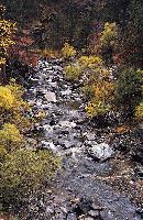 Φθινοπωρινό τοπίο στη Βάλια Κάλντα