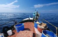 Παραγάδια και άλλα αλιευτικά αντικείμενα στο κατάστρωμα της ψαρόβαρκας