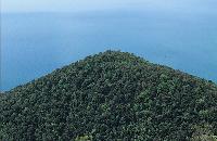 Κορυφή βουνού με μακία βλάστηση (αείφυλλα πλατύφυλλα)