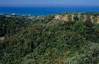 Δασωμένες πλαγιές και καλλιέργειες στην παράκτια περιοχή του Ν. Αχαΐας