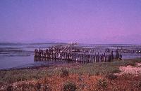 Παραδοσιακό διβάρι στο δέλτα του Έβρου