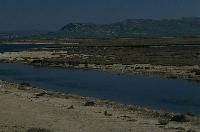 Γενική άποψη του δέλτα του Έβρου