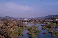 Το δέλτα του Έβρου