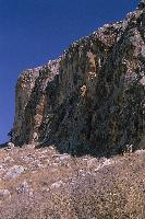 Κοντινό πλάνο των Μαύρων Βουνών στο δάσος της Στροφυλιάς