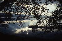 Ενημερωτική πινακίδα στο δάσος Στροφυλιάς