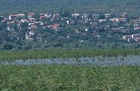 Άποψη καλαμώνα με θέα στον οικισμό Star Dojran