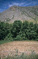 Γενική άποψη της κορυφής του ορεινού όγκου στα Στενά Καλαμακίου