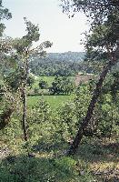 Εναλλαγή δάσους και διάκενων στα Βουνά Έβρου