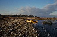 Βάρκα στις αποκαλυφθείσες εκτάσεις στη λίμνη Βόλβη