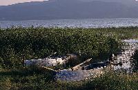 Παλιές βάρκες στην όχθη της λίμνης Δοϊράνης