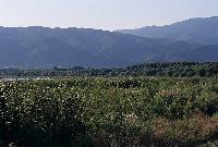 Υγρά λιβάδια και μακρινή άποψη του Δάσους των μουριών και των γειτονικών βουνών