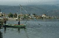 Παραδοσιακός τρόπος ψαρέματος με σταφνοκάρι στη λιμνοθάλασσα Αιτωλικού