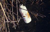 Ρήψη γεωργικών φαρμάκων στις καλλιέργειες πέριξ της λίμνης Μητρικού (Ισμαρίδας)