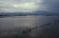 Ανοικτά νερά στις εκβολές του ποταμού Πηνειού στο Καστρί-Λουτρό