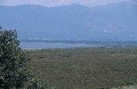 Γενική άποψη της βορειοανατολικής όχθης της λίμνης Δοϊράνης