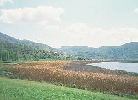 Πυκνοί και εκτεταμένοι καλαμώνες και ανοικτά νερά στη λίμνη Αμβρακία