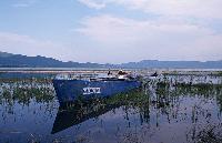 Βαρκάρης στην όχθη της λίμνης Δοϊράνης