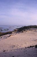 Αμμώδης ακτή στο δάσος της Στροφυλιάς