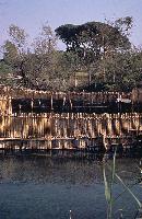 Παραδοσιακό διβάρι στο δάσος της Στροφυλιάς