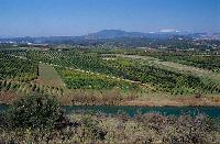 Καλλιέργειες στον ποταμό Αχελώο στον Ν. Αιτωλοακαρνανίας