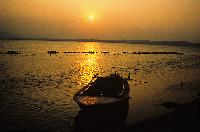 Βάρκα στο δέλτα Αξιού