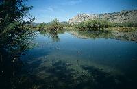 Λιμνοθάλασσα στον Αμβρακικό κόλπο