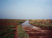 Άποψη της λιμνοθάλασσας Επανομής