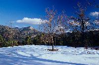 Χιονισμένο τοπίο στην ορεινή Ναυπακτία Αιτωλοακαρνανίας
