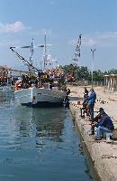 Ερασιτεχνικό ψάρεμα με καλάμι