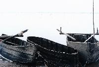 Πλάβες στη λίμνη Βόλβη