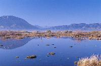 Γενική άποψη της λιμνοθάλασσας Κλείσοβας στο Μεσολόγγι