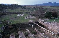 Αρχαία ερείπια στην περιοχή Οινιάδων στο δέλτα του Αχελώου