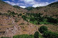 Καλλιέργειες, φυτοφράκτες και αναβαθμίδες σε μικρή κοιλάδα και στις πλαγιές των γειτονικών λόφων στον Άγιο Γερμανό Πρεσπών