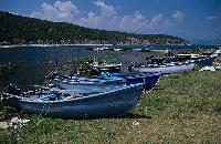 Ψαρόβαρκες στον οικισμό Ψαράδες στη Μεγάλη Πρέσπα