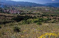 Γενική άποψη του οικισμού Πλατύ Πρεσπών