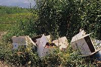 Απορρίμματα φυτοφαρμάκων σε καλλιέργειες στον ποταμό Σπερχειό